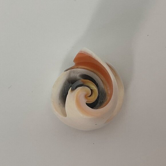 VIntage Sz 6 New N/Tags Natural Spiral Shell Statement Ring Artisan Hand Carved - Picture 7 of 10